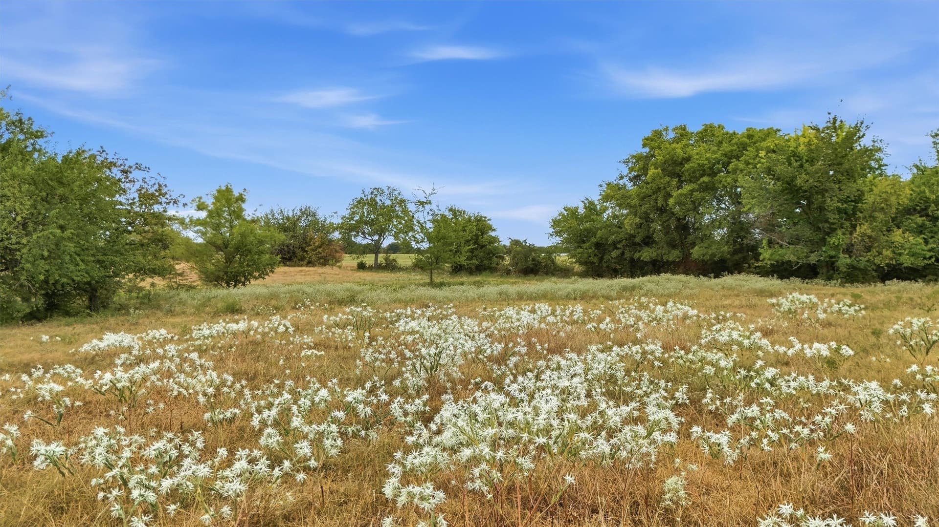 163 acres in Grayson County - photo 22