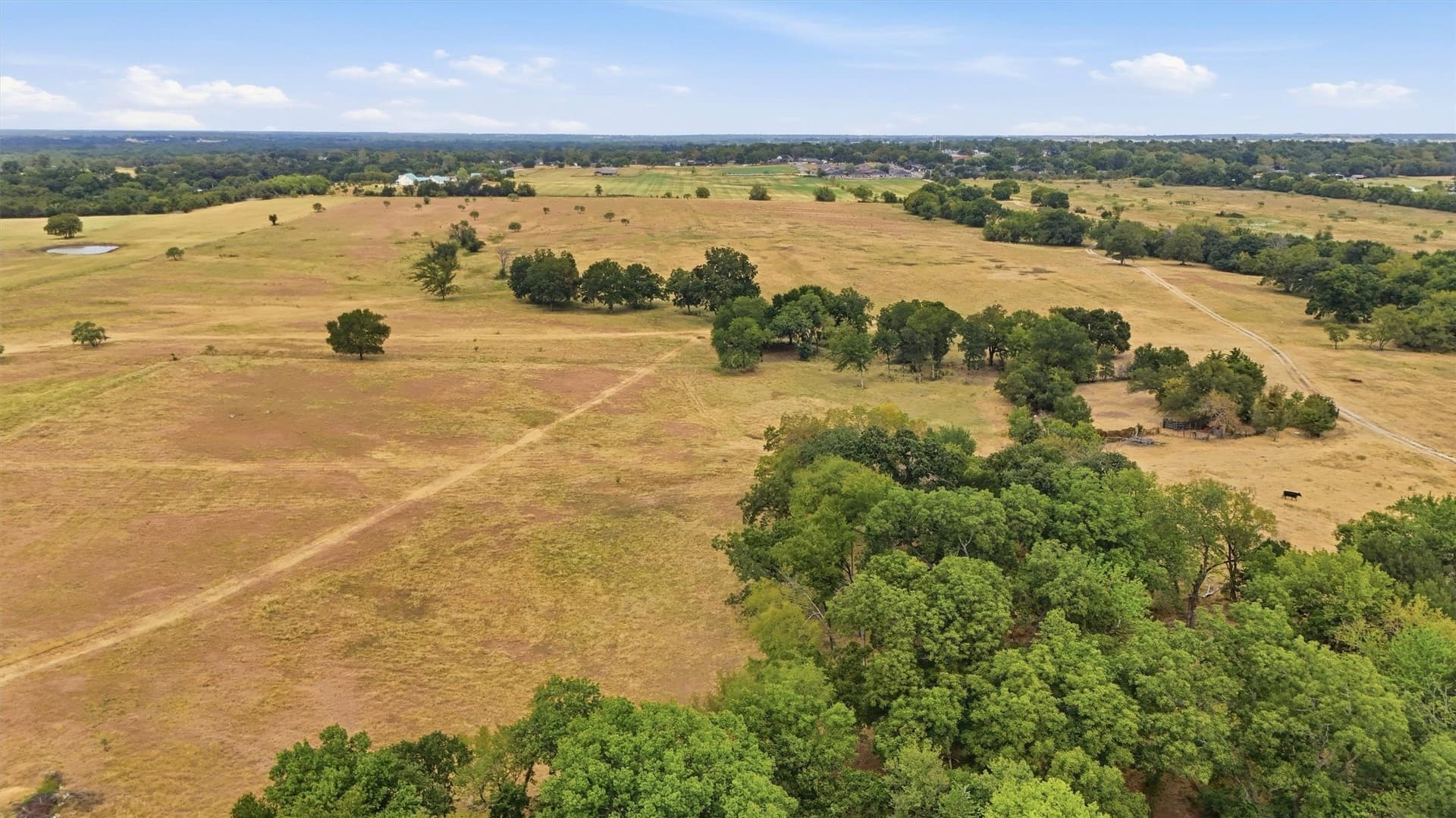 163 acres in Grayson County - photo 17