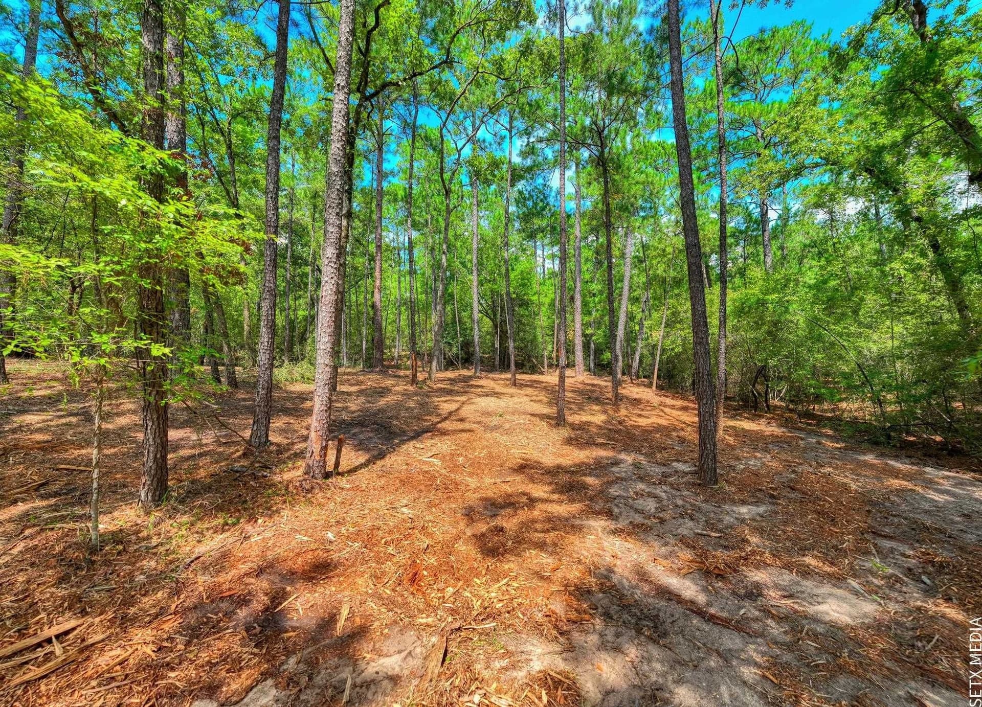 0.51 acres in Texas County gallery image 3