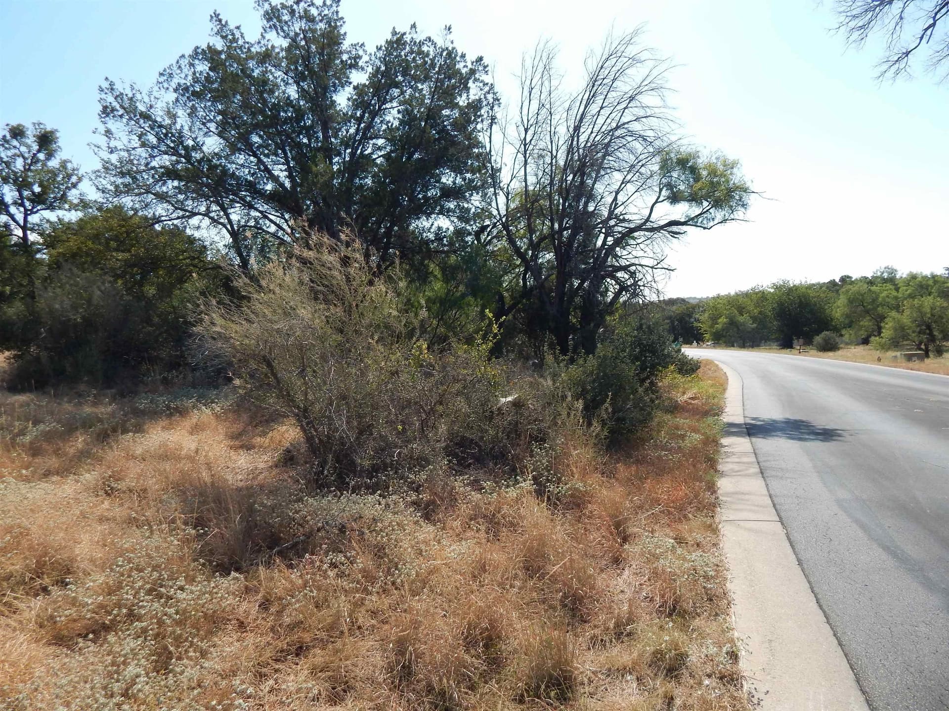 0.25 acres in Llano County - photo 3