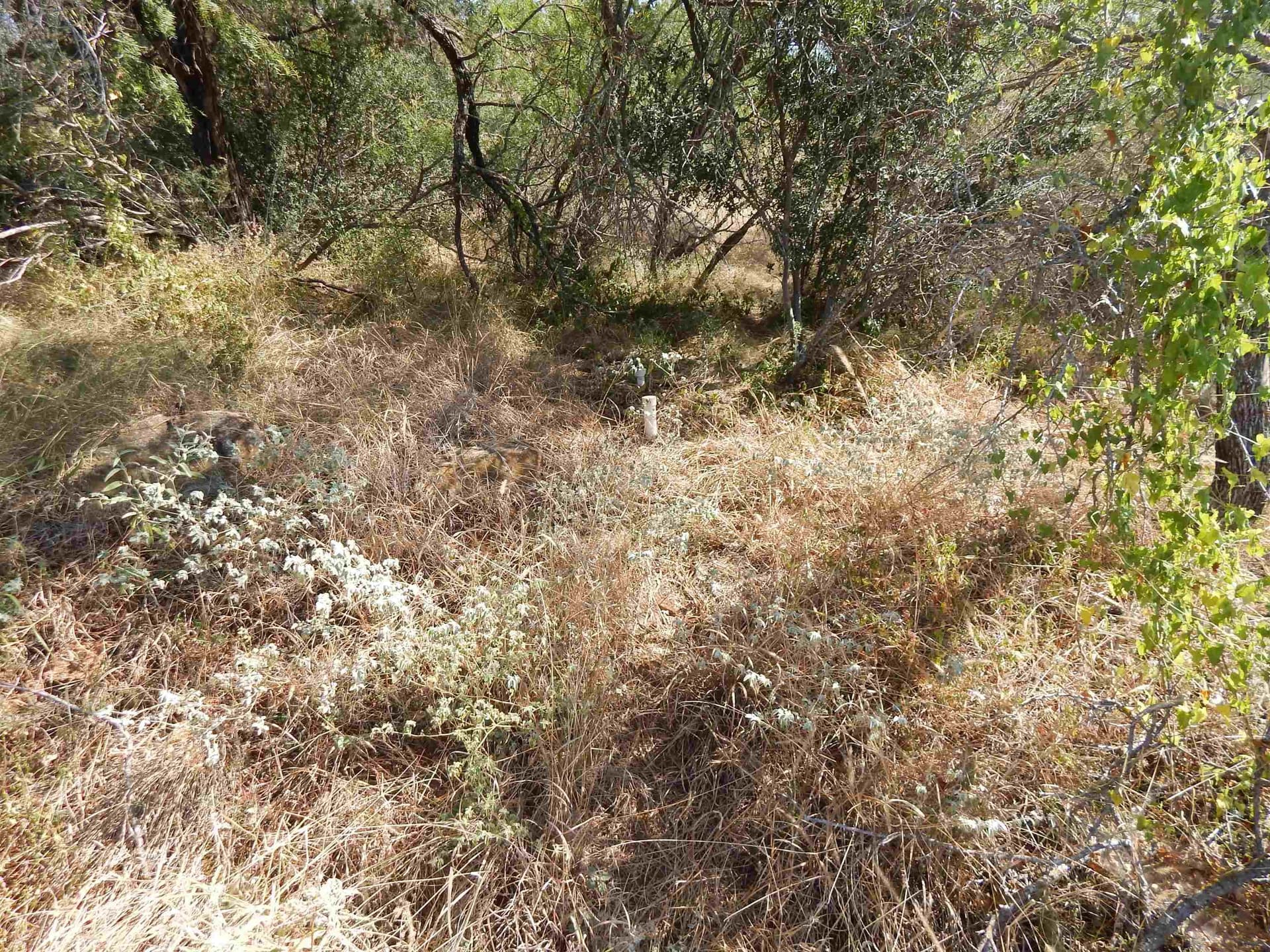 0.25 acres in Llano County - photo 2