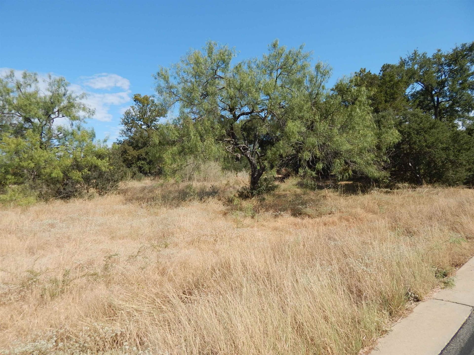 0.25 acres in Llano County - photo 6