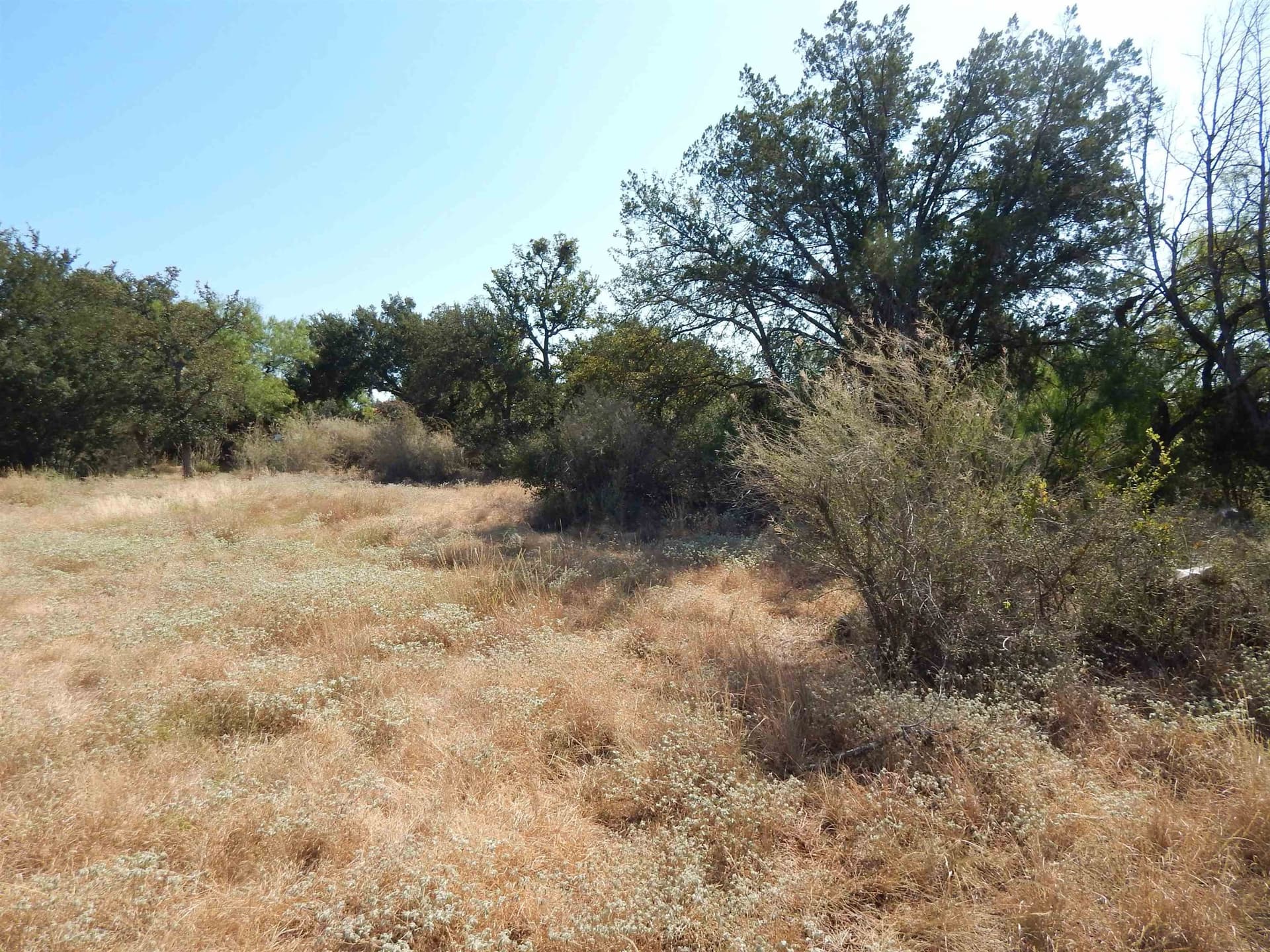 0.25 acres in Llano County - photo 4