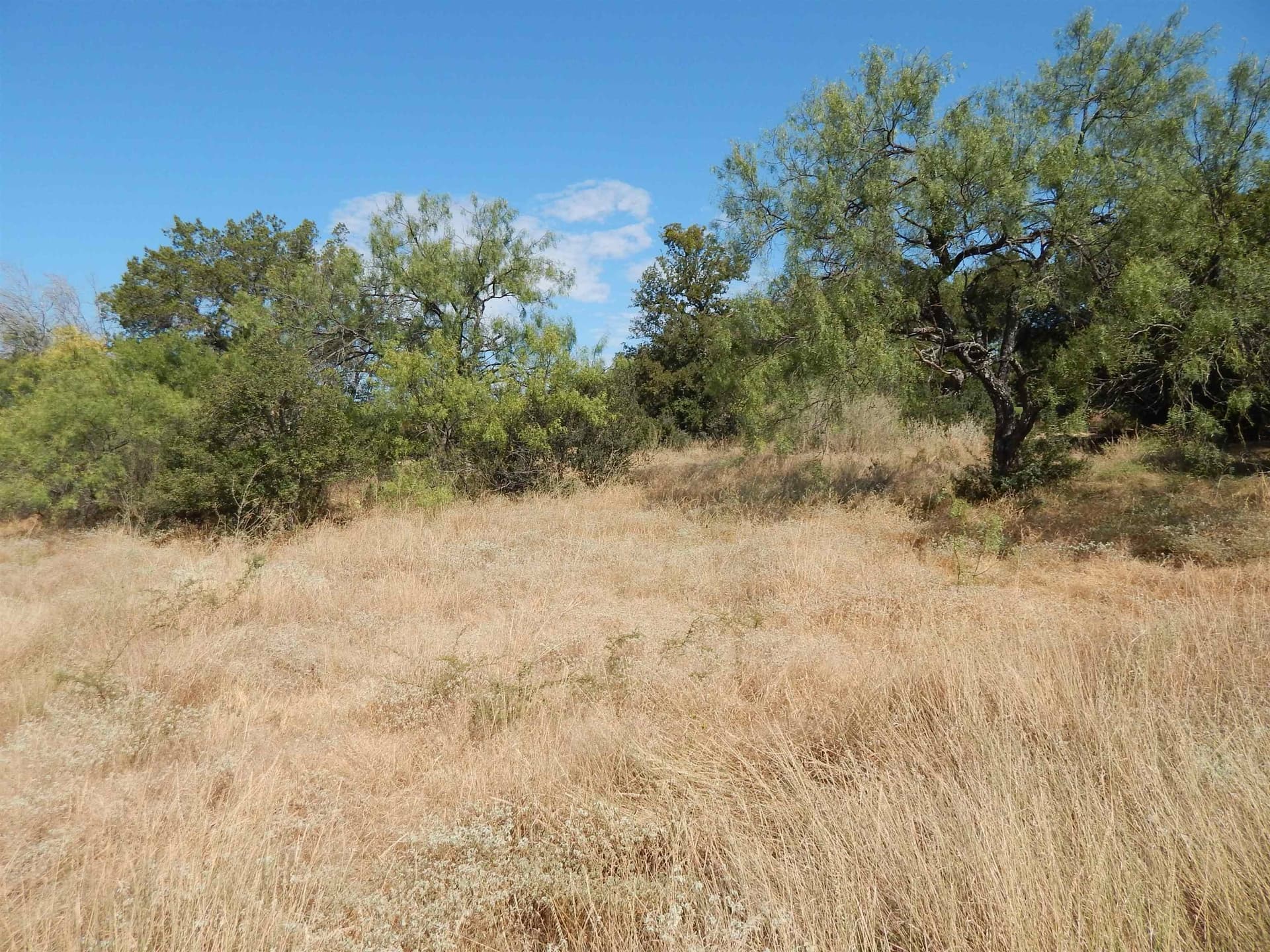 0.25 acres in Llano County - photo 7