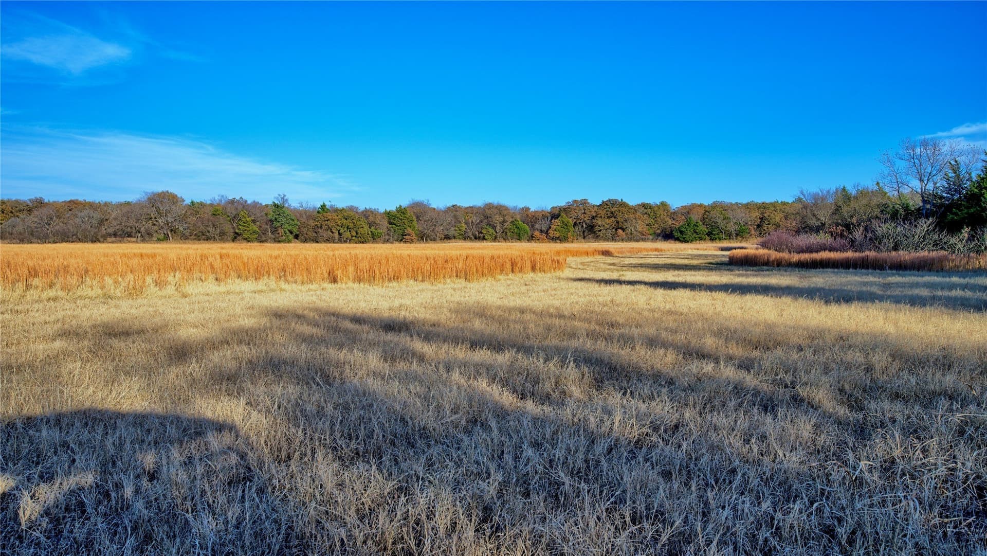 100 acres in Cooke County - photo 17