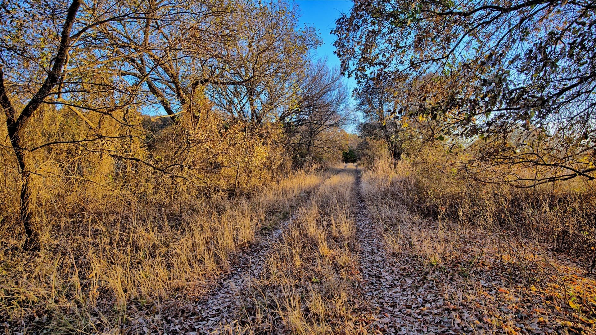 100 acres in Cooke County - photo 31