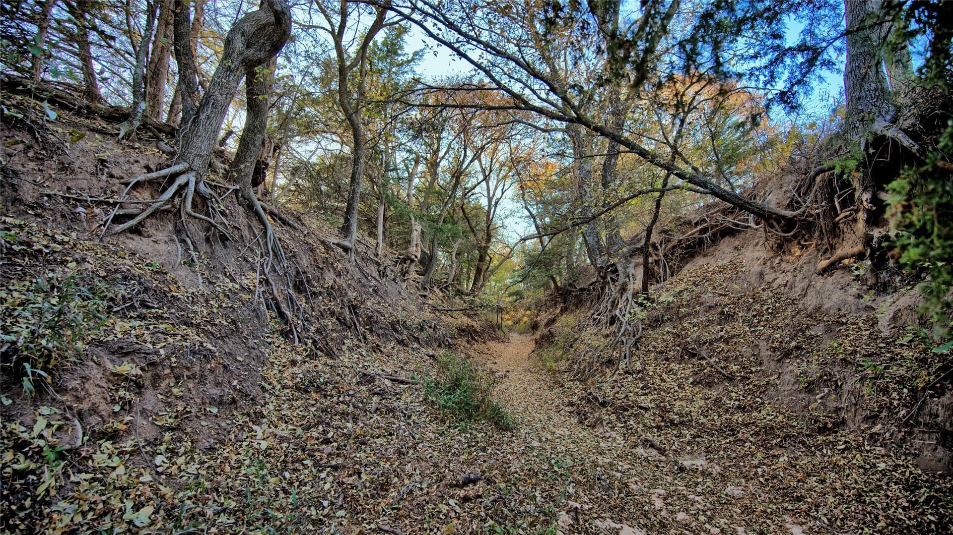 100 acres in Cooke County - photo 29