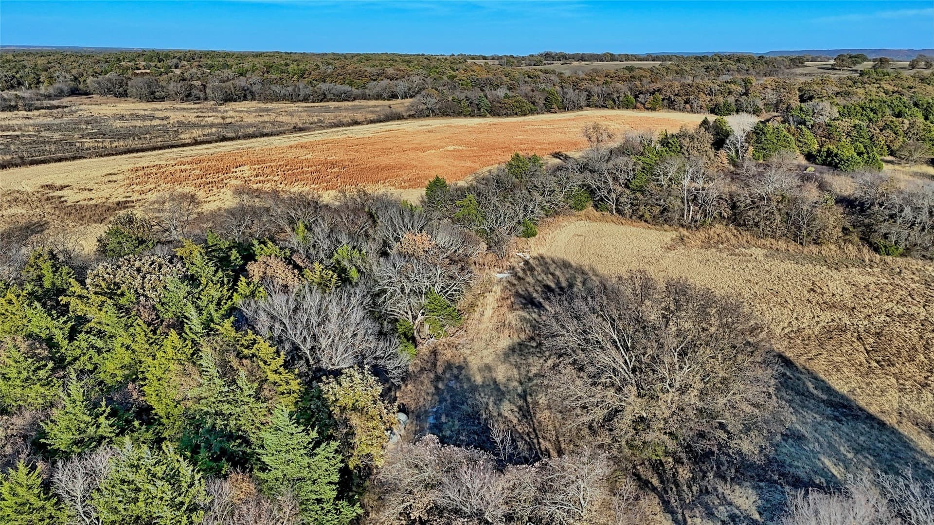 100 acres in Cooke County - photo 21
