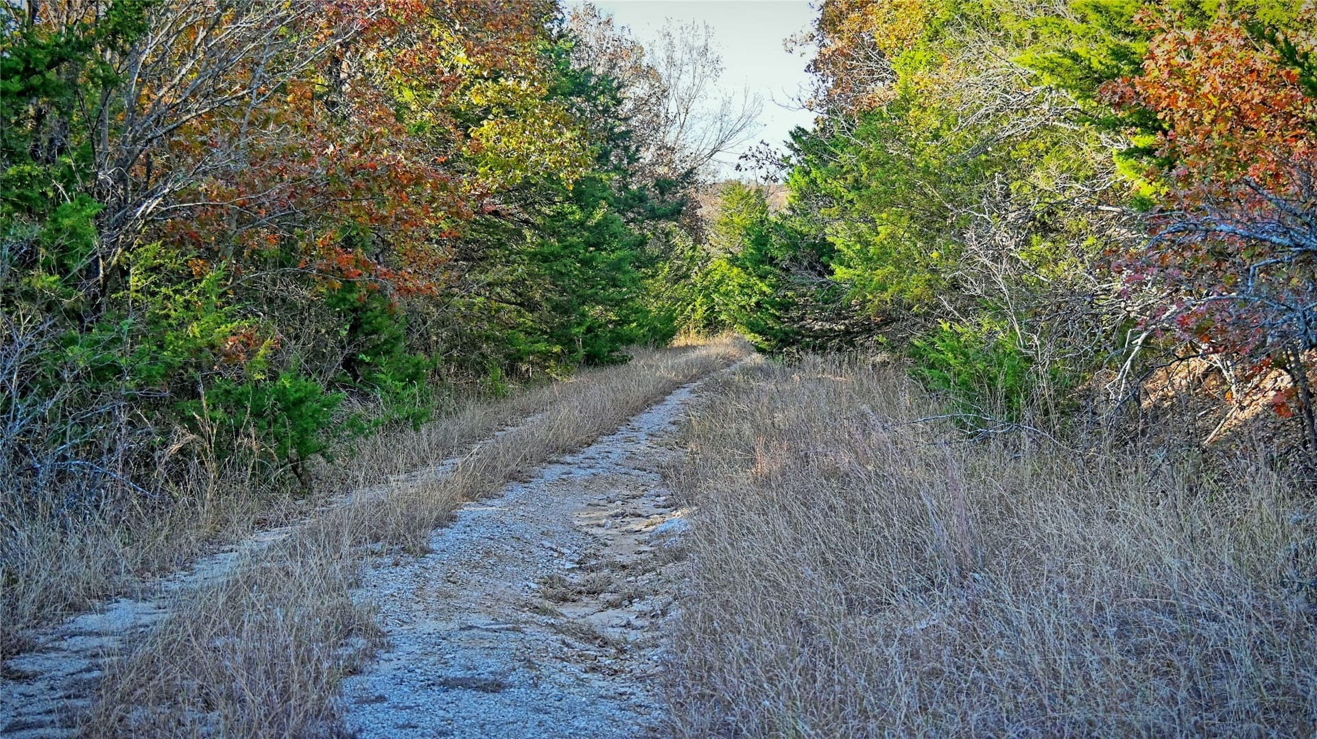 100 acres in Cooke County - photo 37