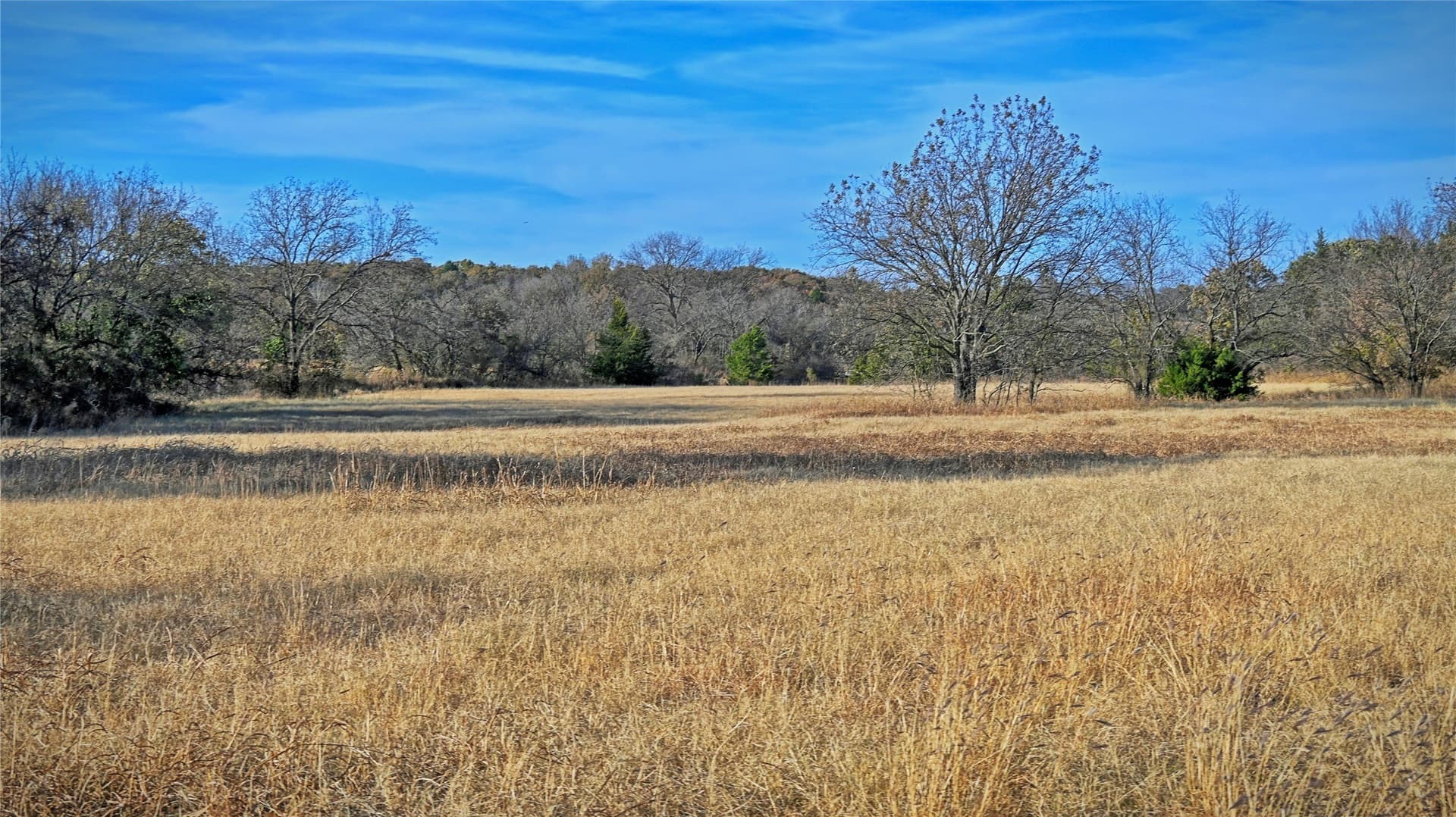 100 acres in Cooke County - photo 28
