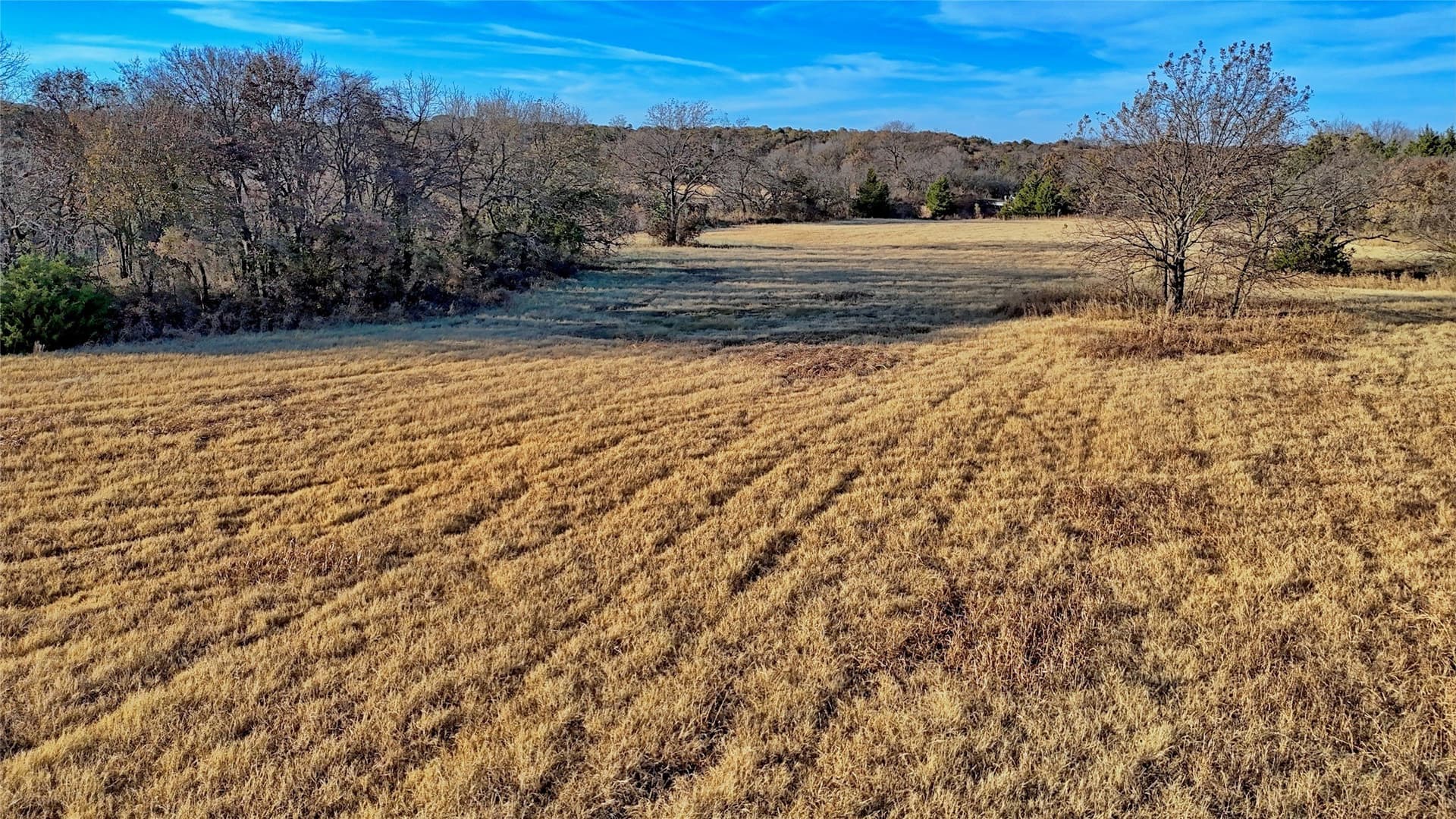 100 acres in Cooke County - photo 18