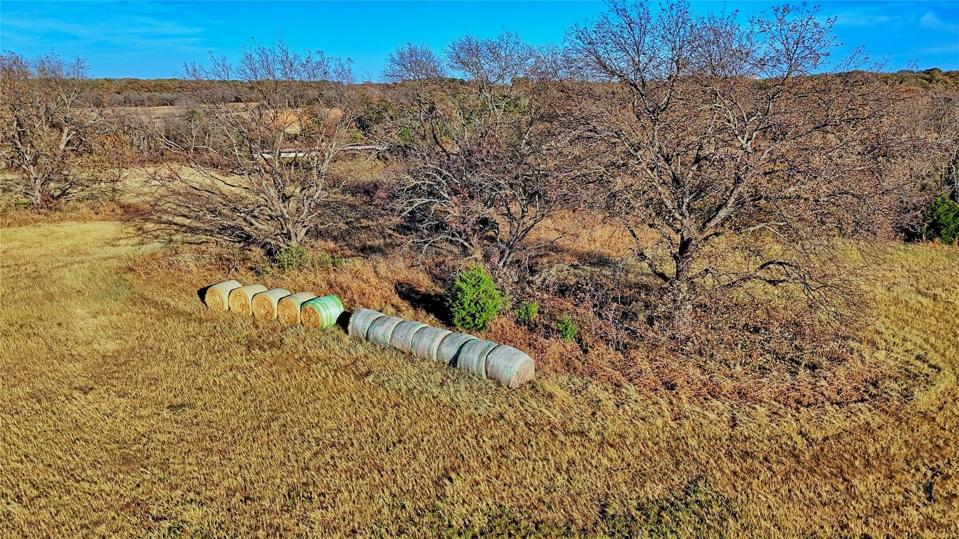 100 acres in Cooke County - photo 5