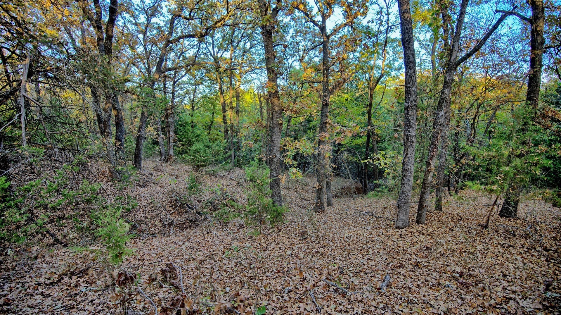 100 acres in Cooke County - photo 8