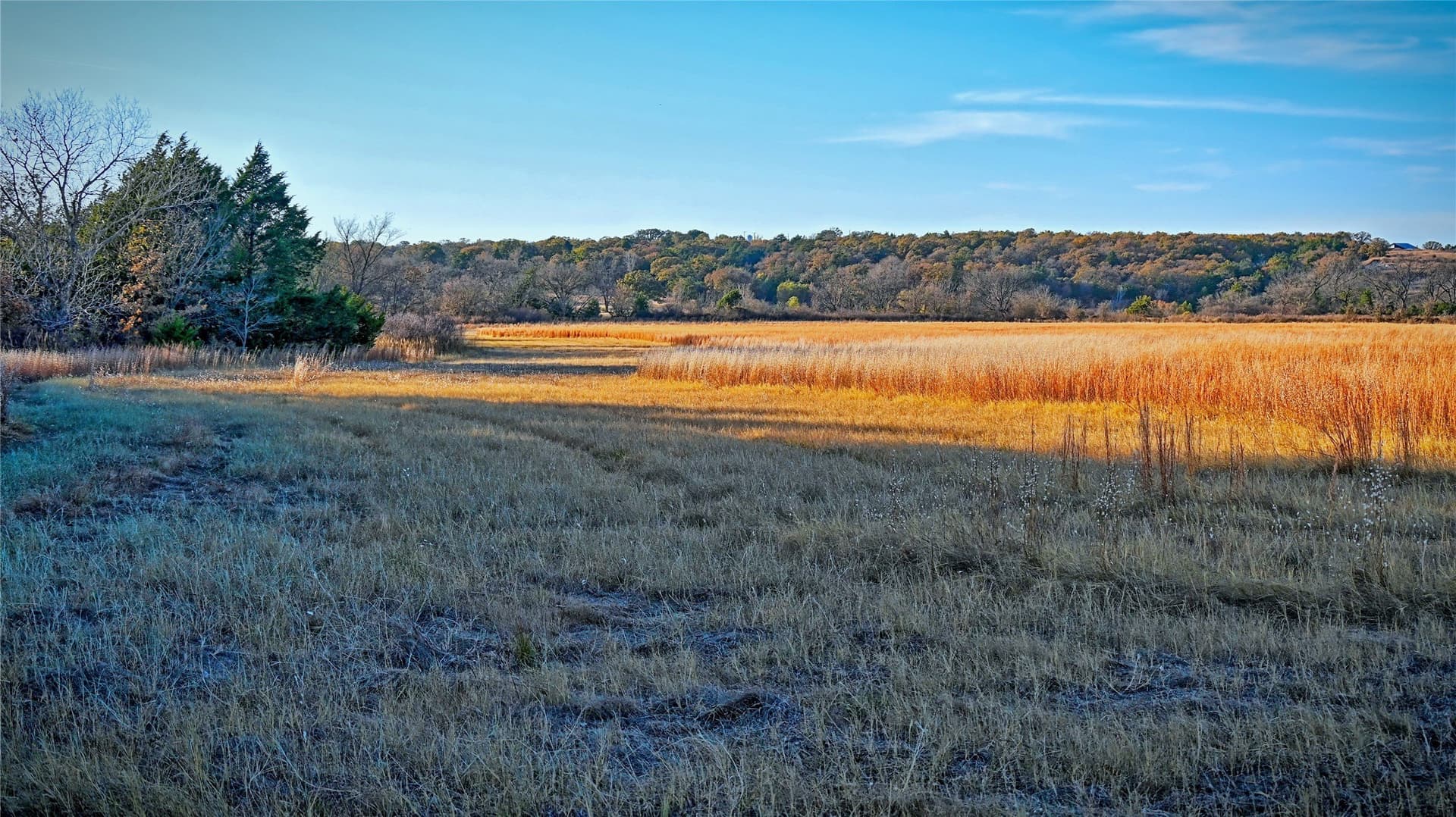 100 acres in Cooke County - photo 24