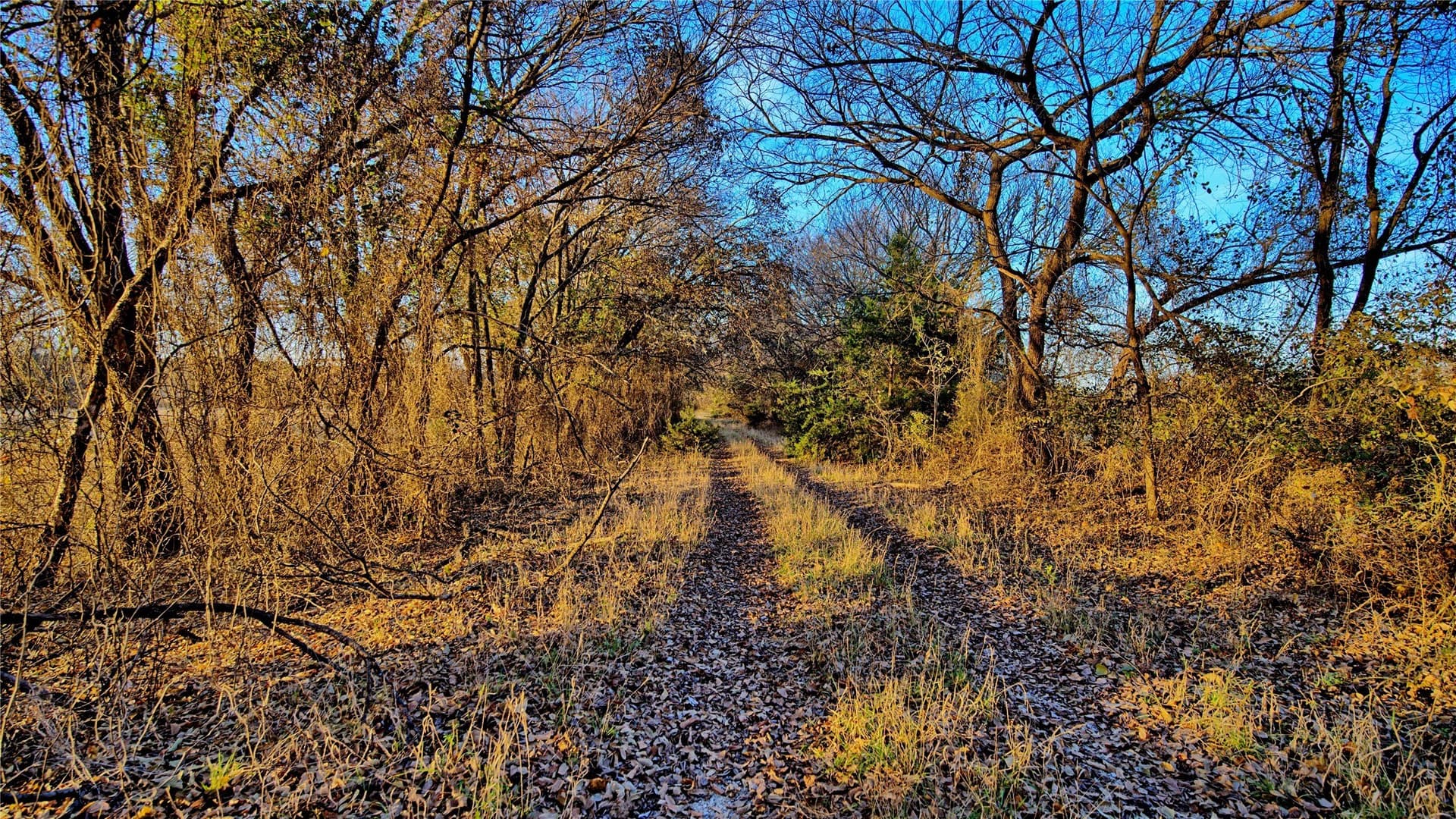 100 acres in Cooke County - photo 30