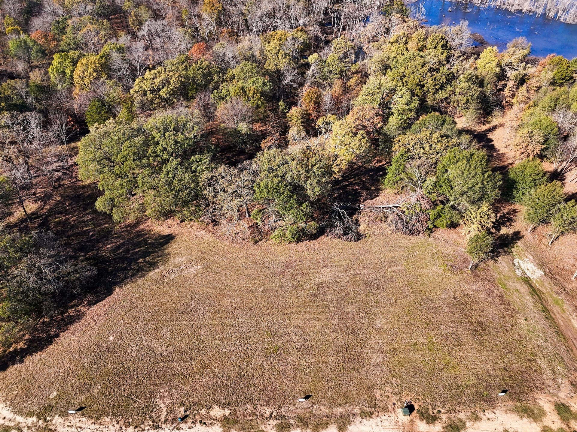 1.01 acres in Fannin County - photo 37