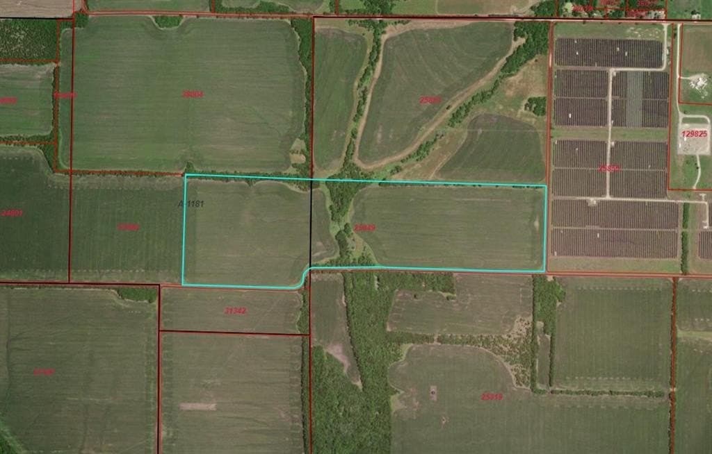 84.32 acres in Hunt County gallery image 3