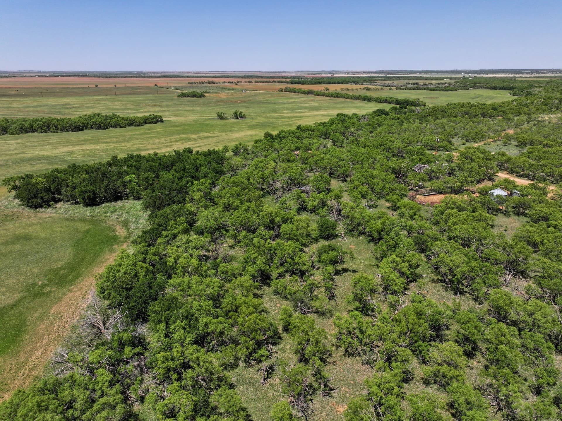 10.01 acres in Jones County - photo 14