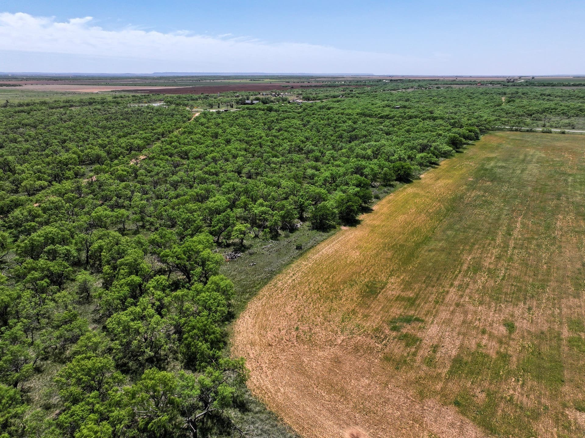 10.01 acres in Jones County - photo 15