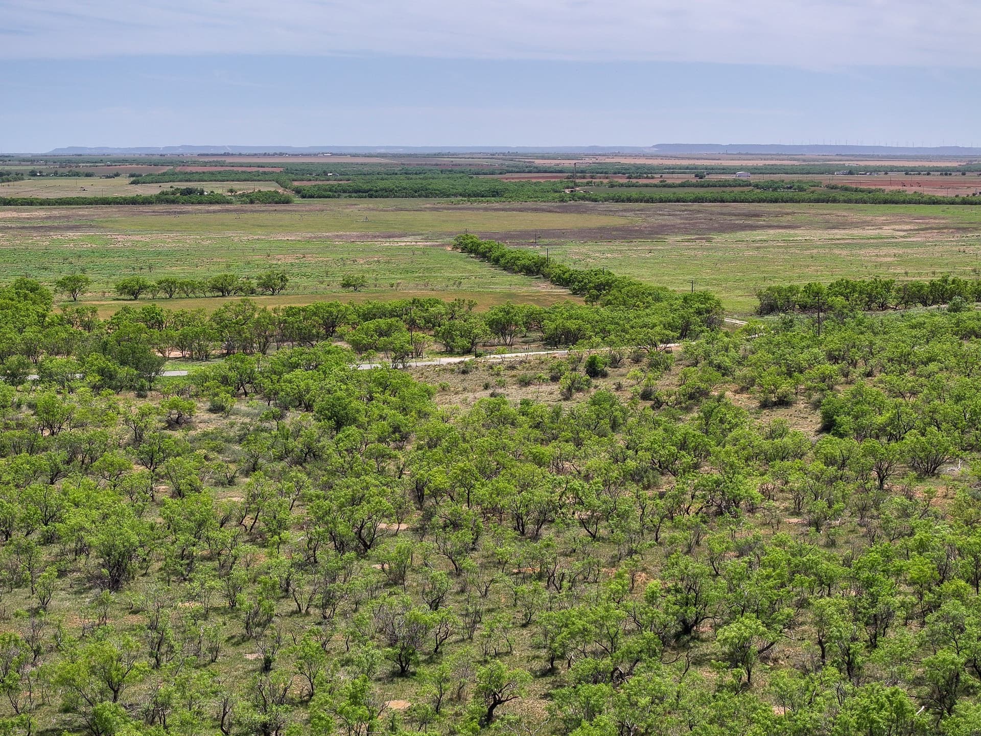 10.01 acres in Jones County - photo 17