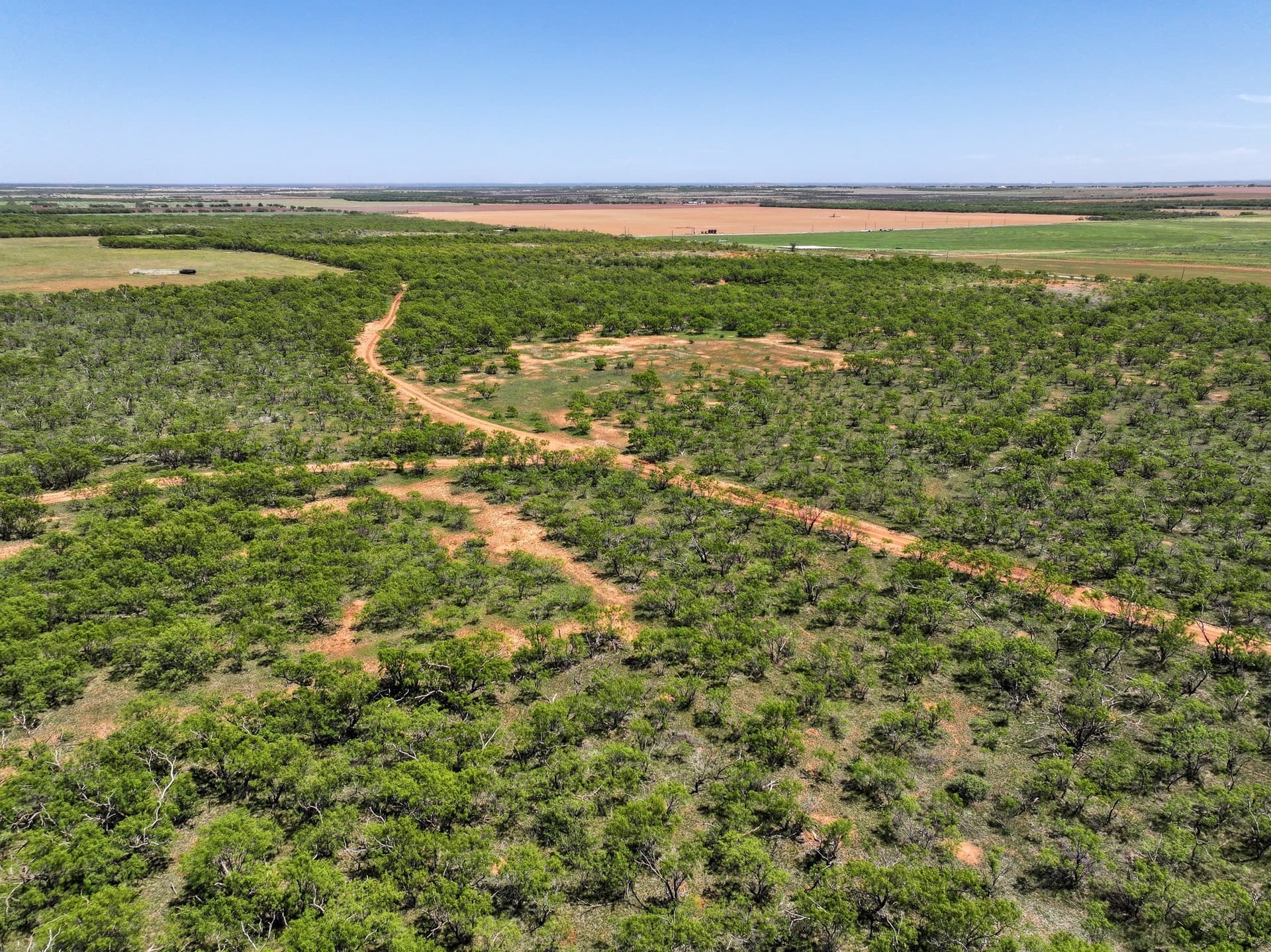 10.01 acres in Jones County - photo 16