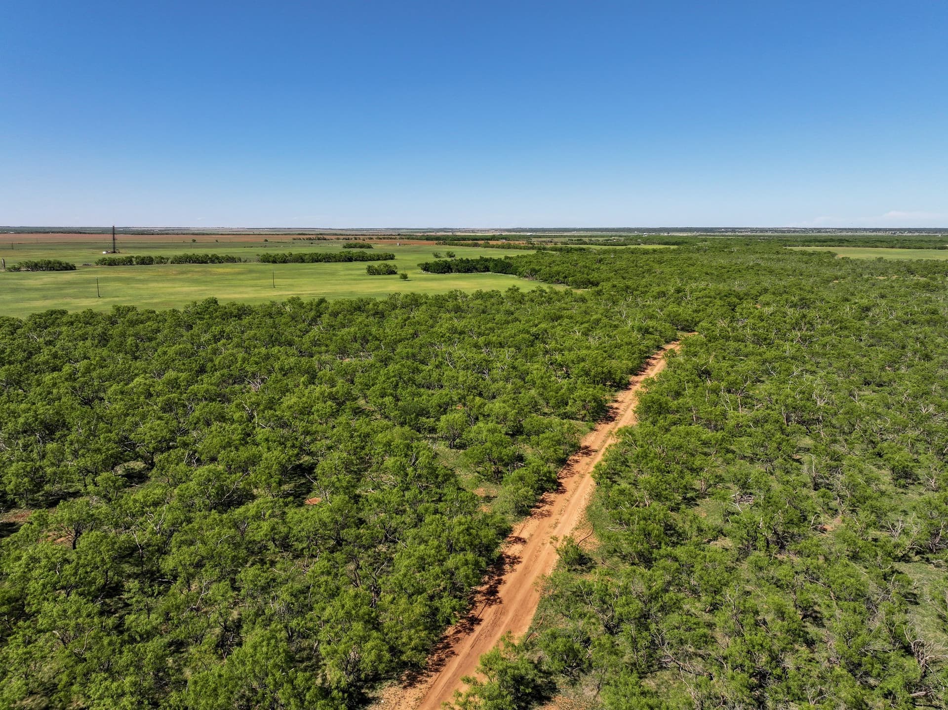 10.01 acres in Jones County - photo 12