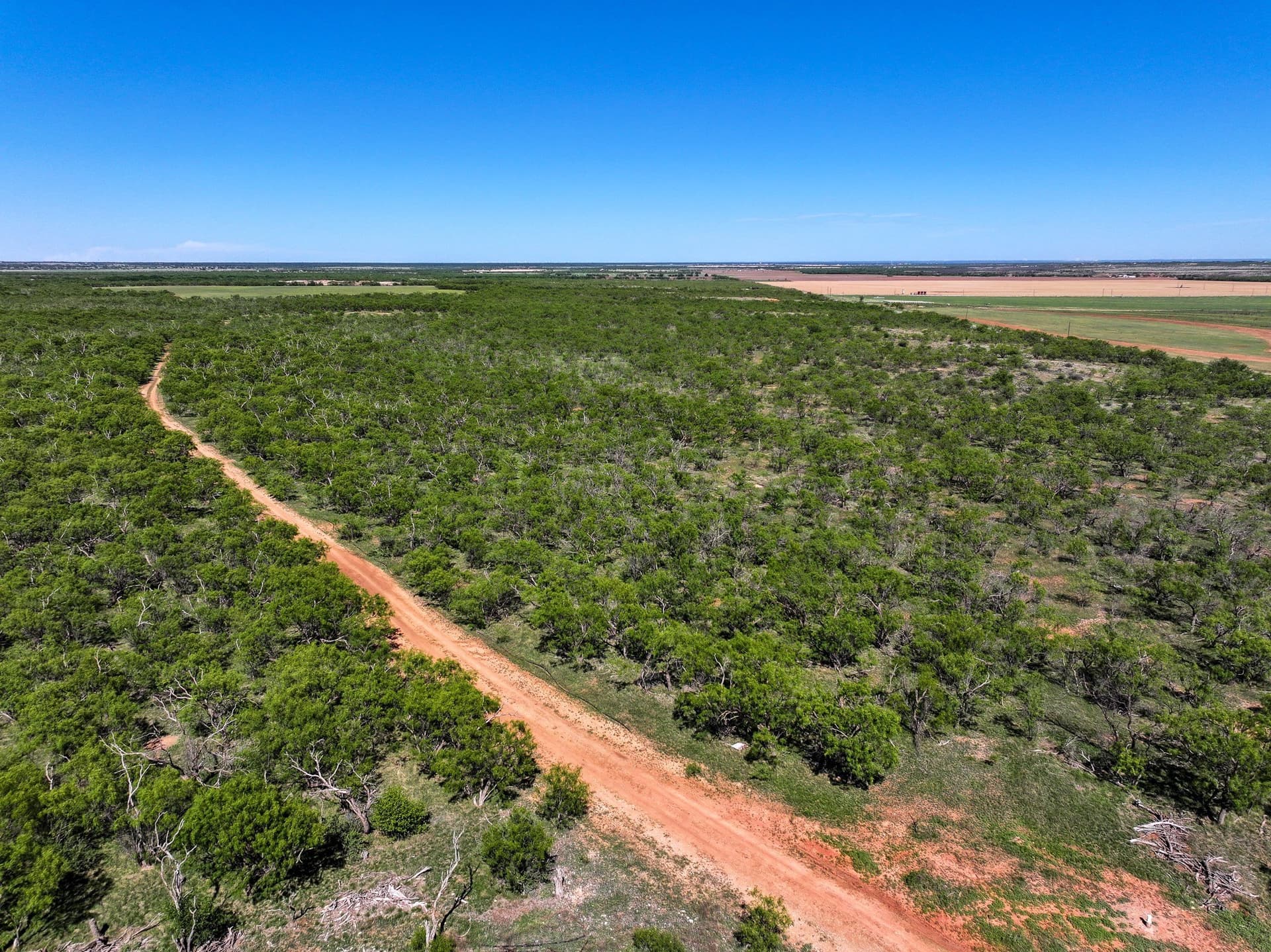 10.01 acres in Jones County - photo 11