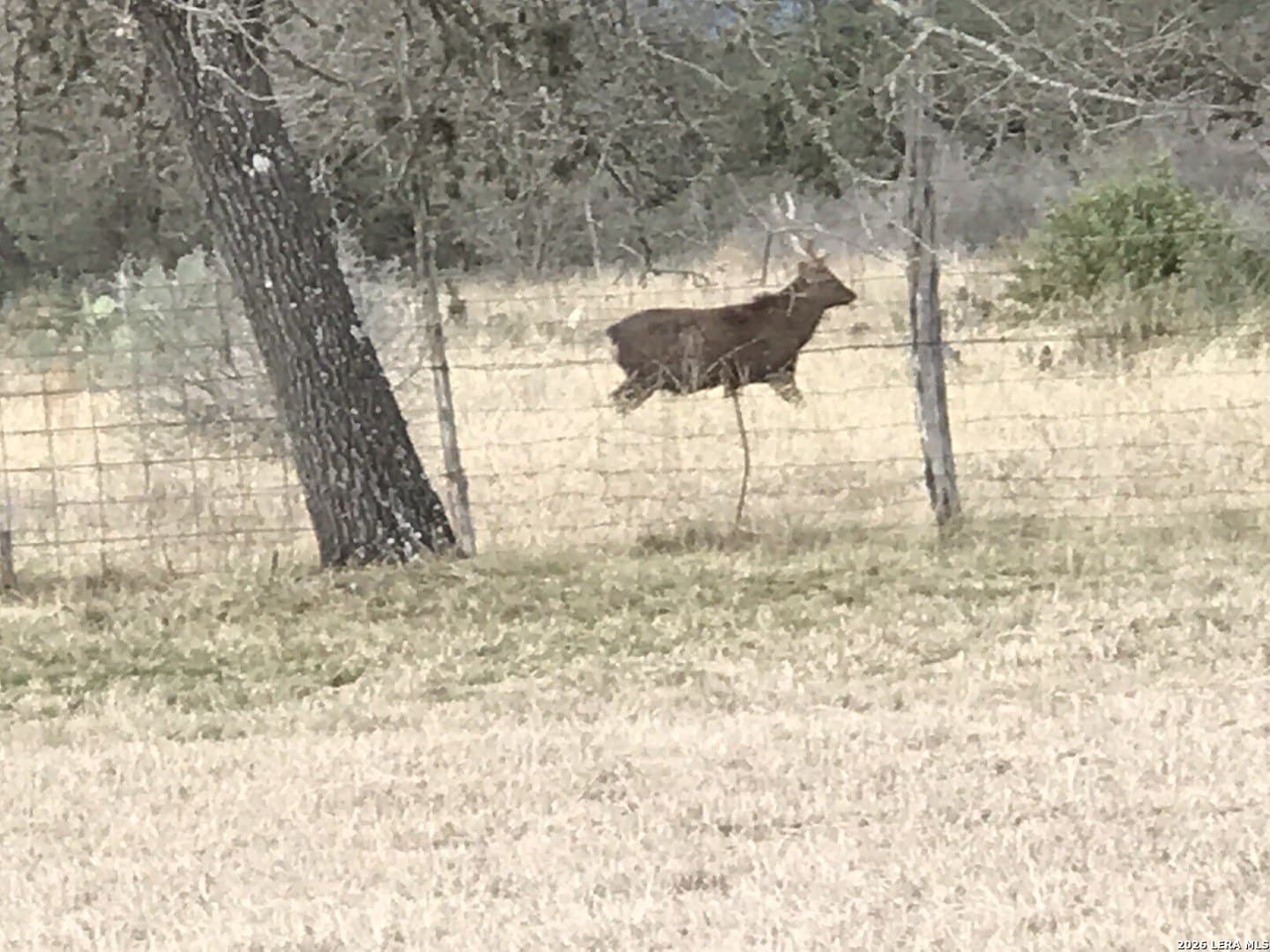 33.35 acres in Bandera County - photo 48