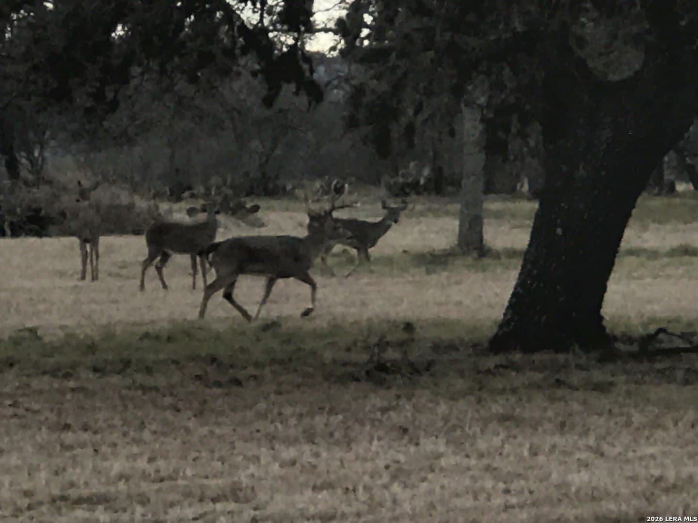 33.35 acres in Bandera County - photo 47