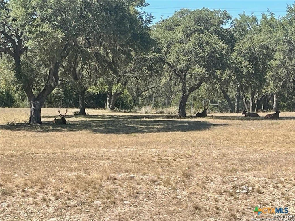5.02 acres in Bandera County - photo 13
