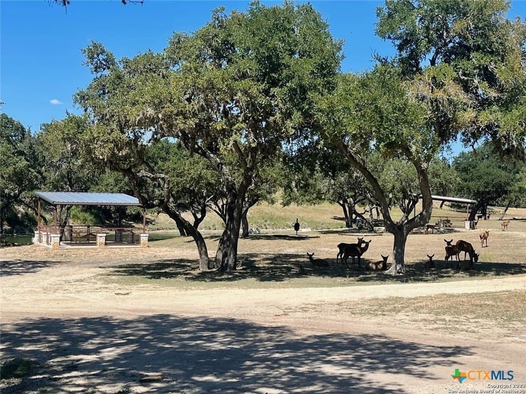 5.02 acres in Bandera County - photo 10