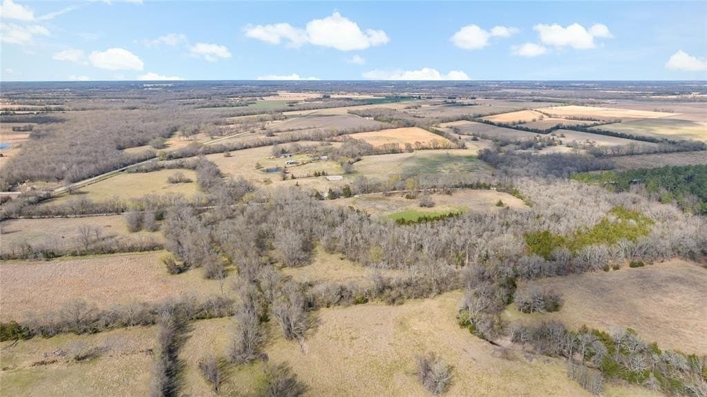 216.5 acres in Red River (TX) County gallery image 4