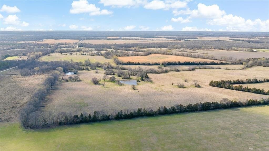 216.5 acres in Red River (TX) County featured view