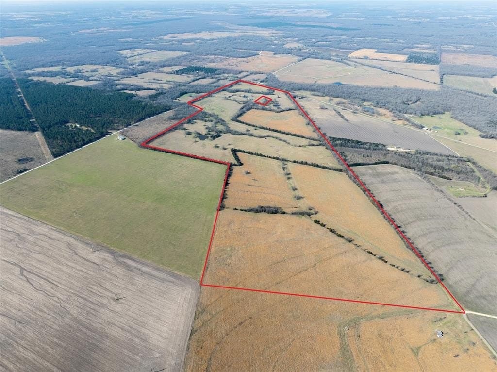 216.5 acres in Red River (TX) County gallery image 2