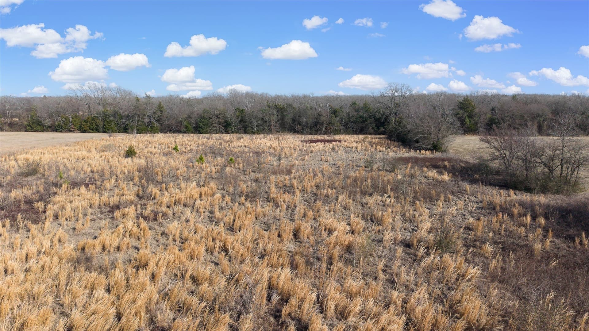 7.95 acres in Hopkins County - photo 22