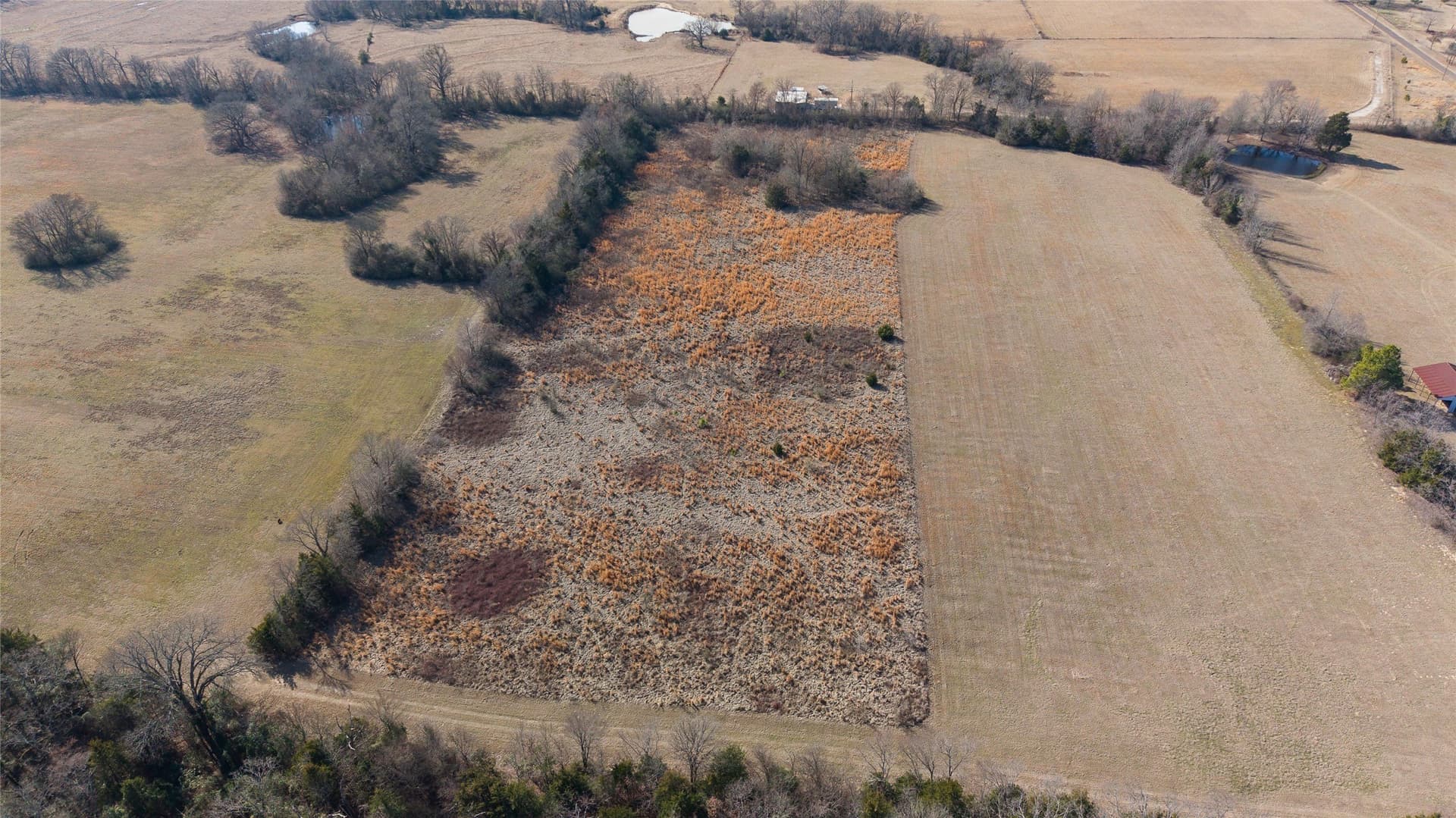 7.95 acres in Hopkins County - photo 5