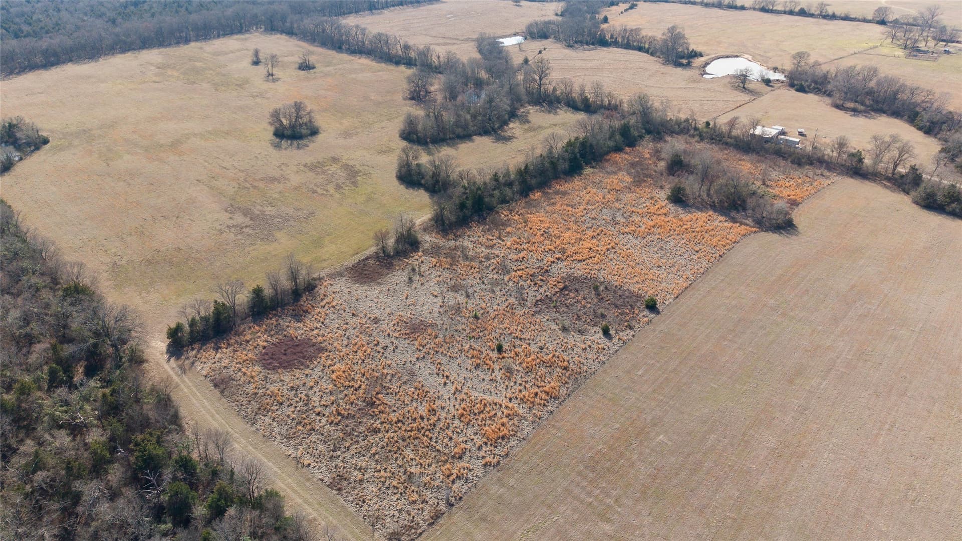 7.95 acres in Hopkins County - photo 6