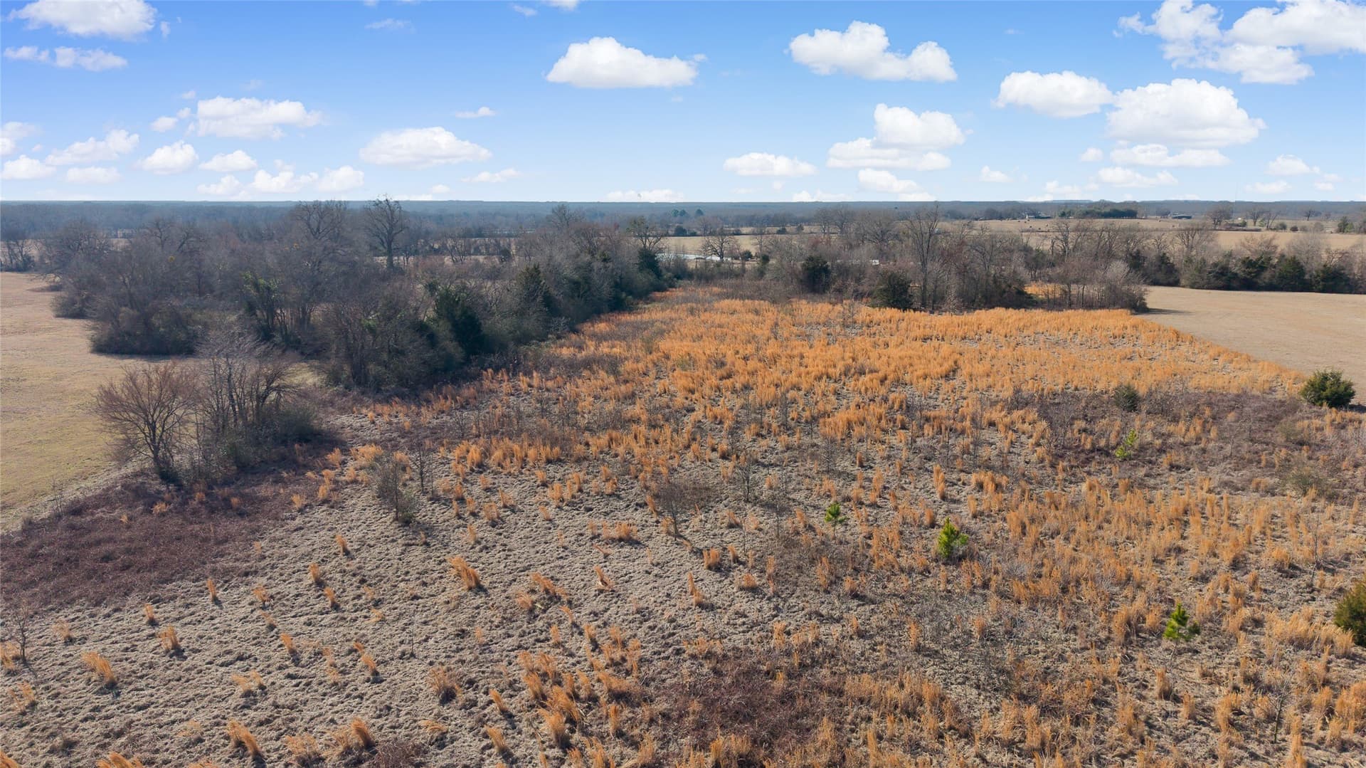 7.95 acres in Hopkins County - photo 23