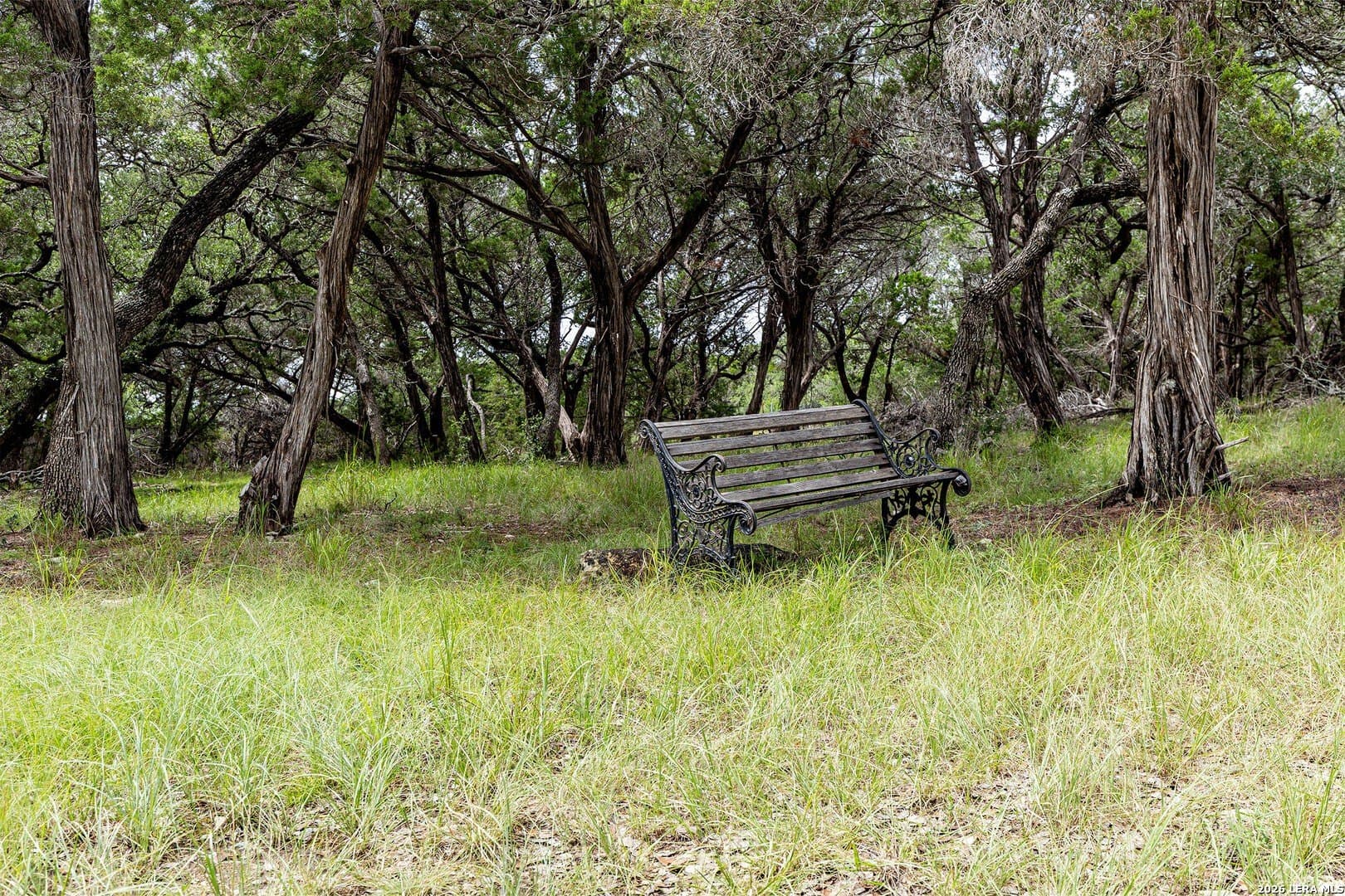 5.4 acres in Comal County - photo 10