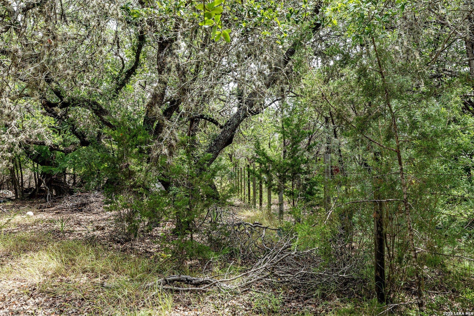 5.4 acres in Comal County - photo 7