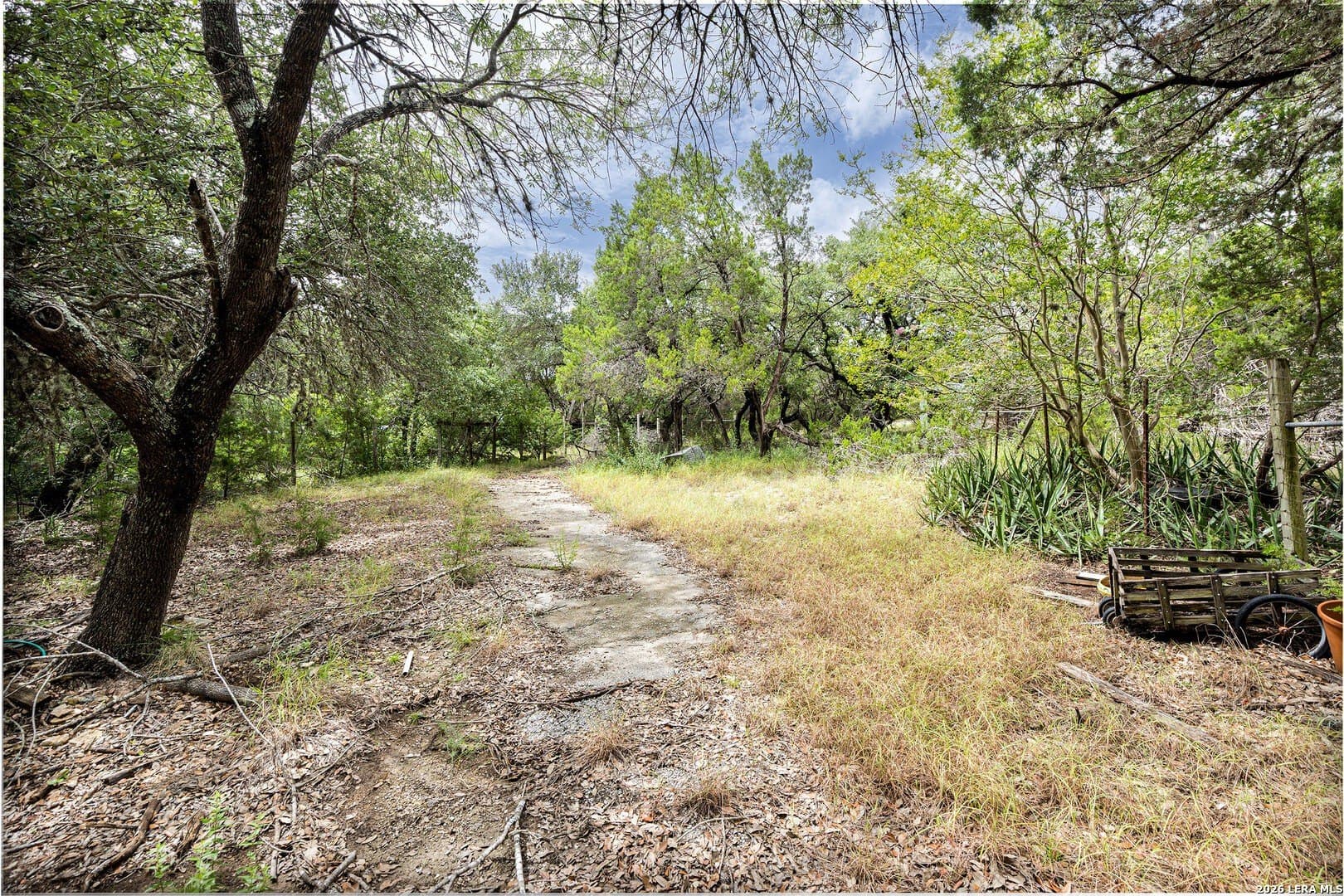 5.4 acres in Comal County - photo 8