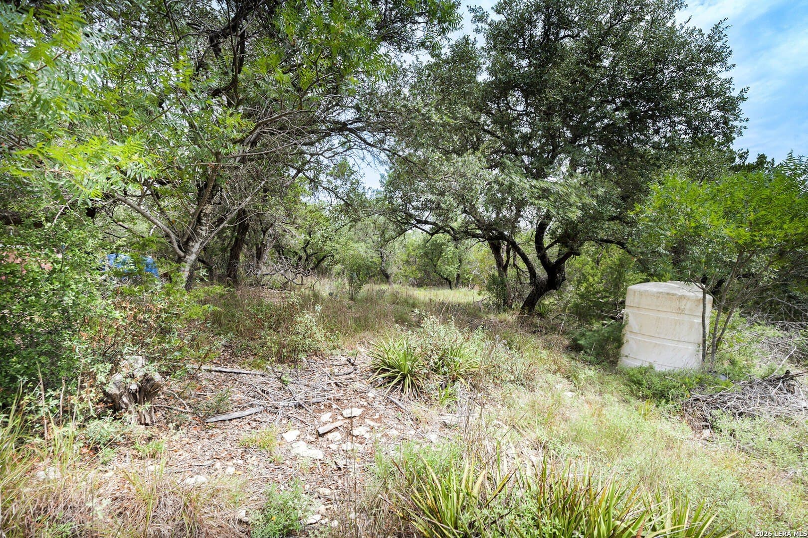 5.4 acres in Comal County - photo 9