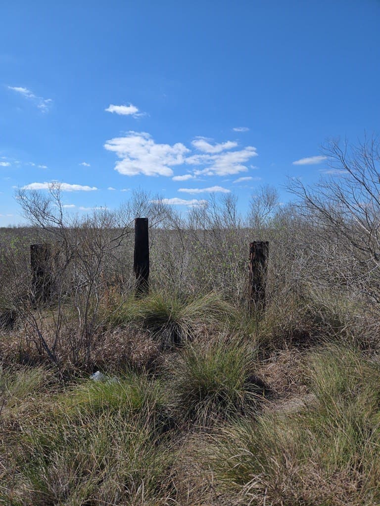 13.15 acres in Texas County - photo 8