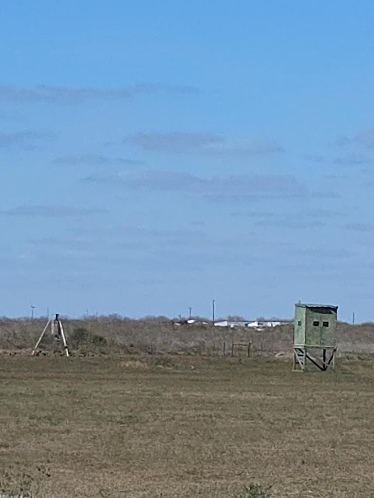 13.15 acres in Texas County - photo 6