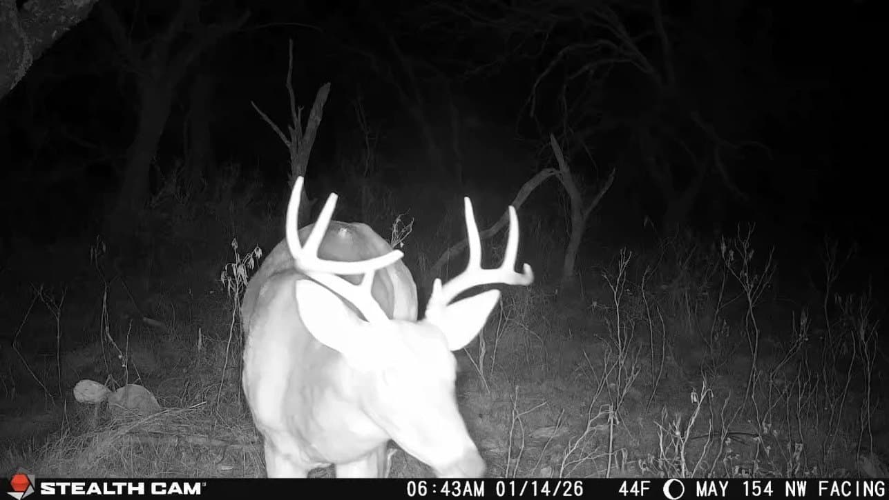 153.74 acres in Brown County - photo 36