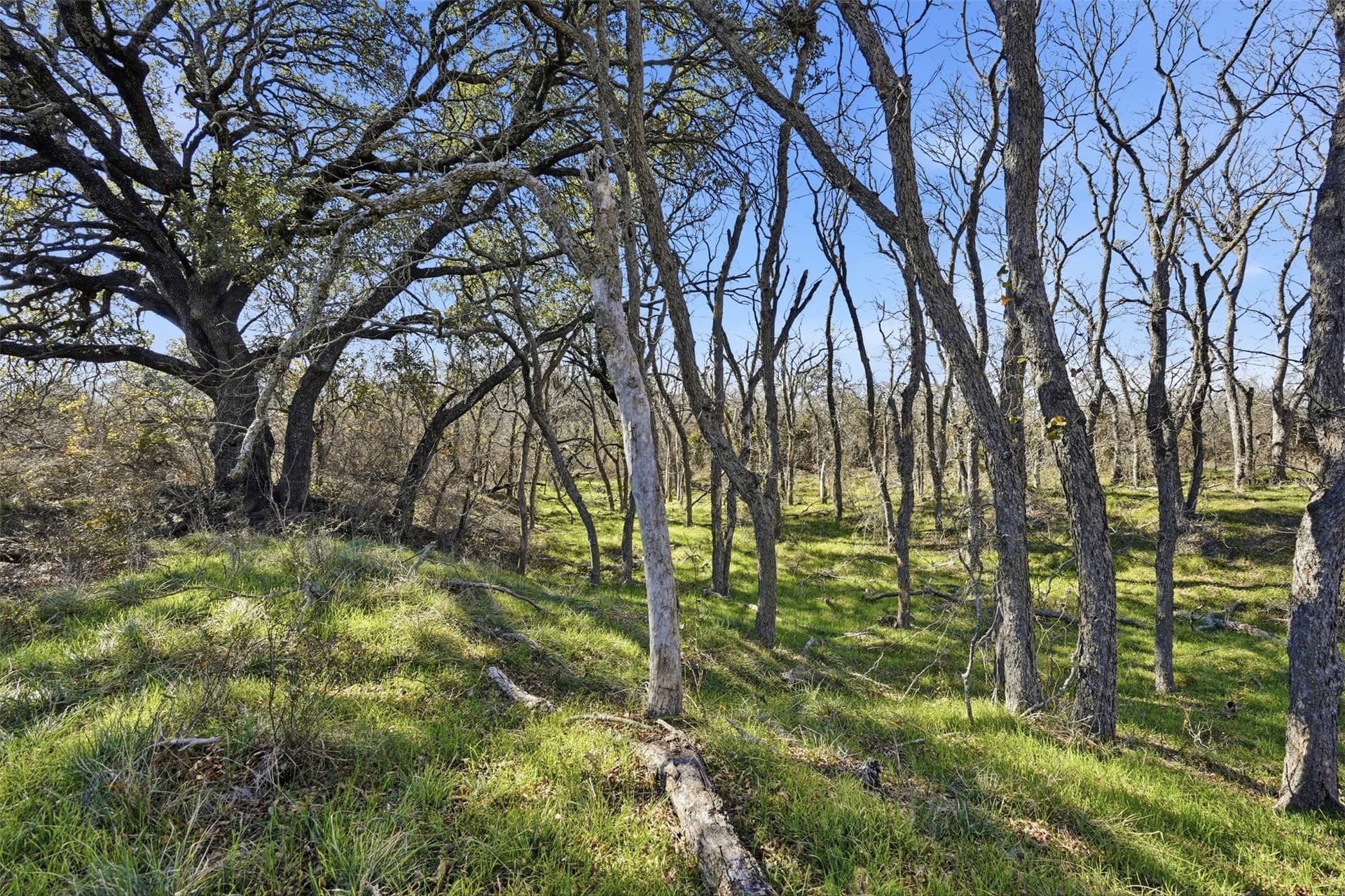 153.74 acres in Brown County - photo 16