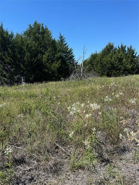 16.25 acres in Ellis County featured view