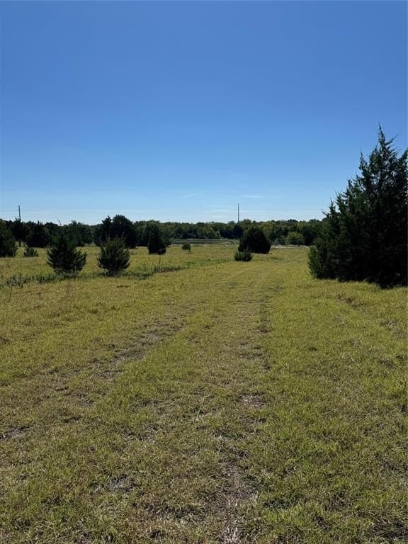 16.25 acres in Ellis County gallery image 2