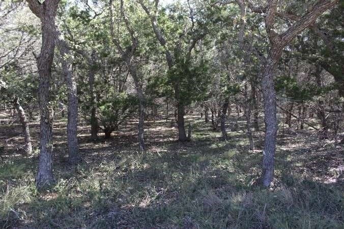 40 acres in Bandera County featured view