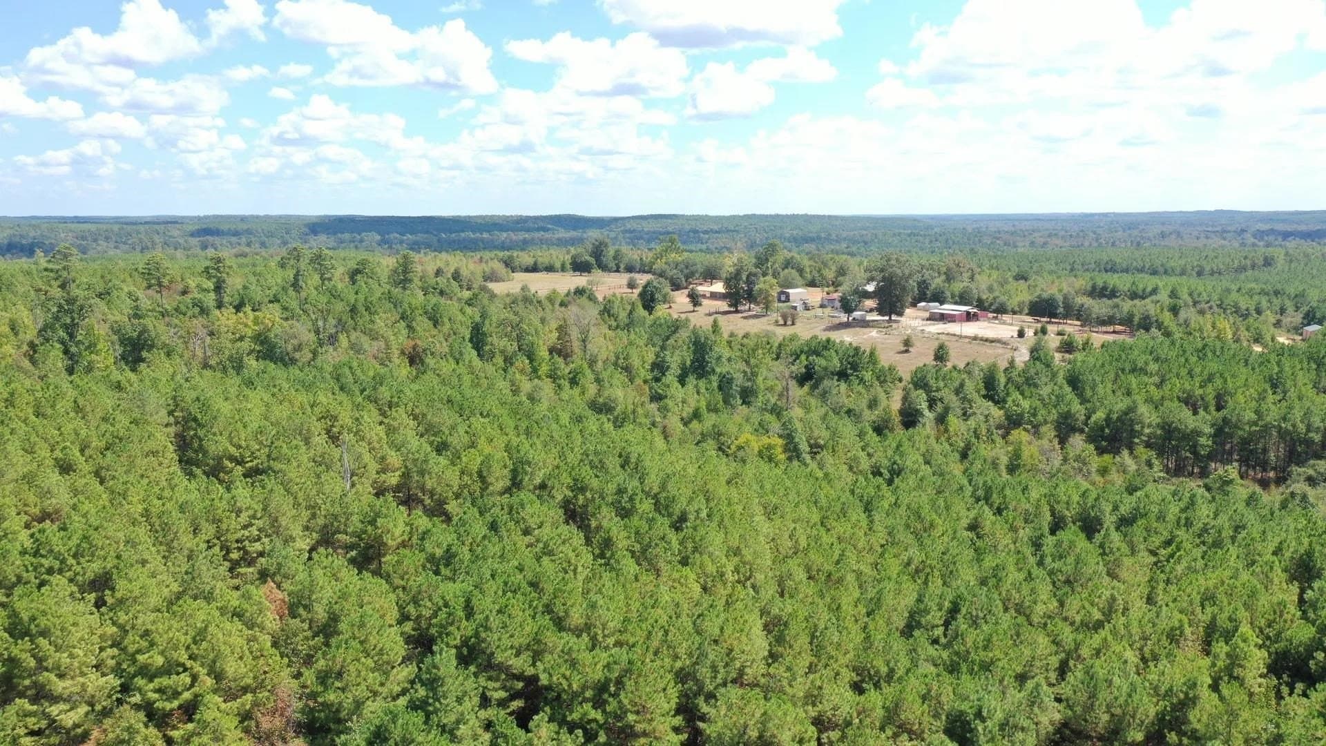 69.36 acres in Marion County - photo 5